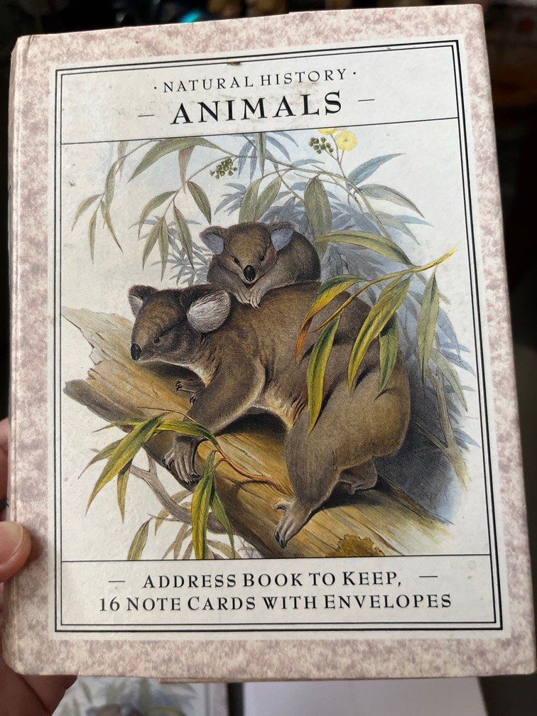 Vintage 90s New Natural History Animals Studio Editions Wildlife