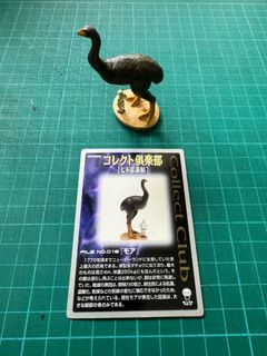 （分類：）位於 。 由 _blackbean 提交（商品編號 1263906745，圖片 1）。簡介： 。