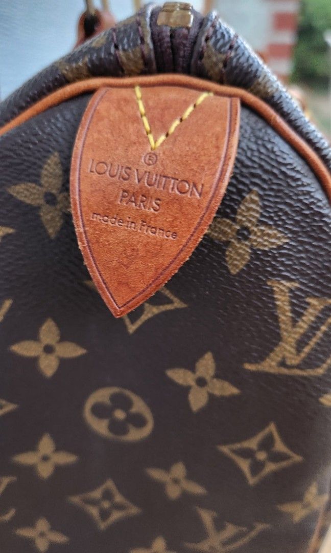 Louis Vuitton Authenticated Leather Handbag