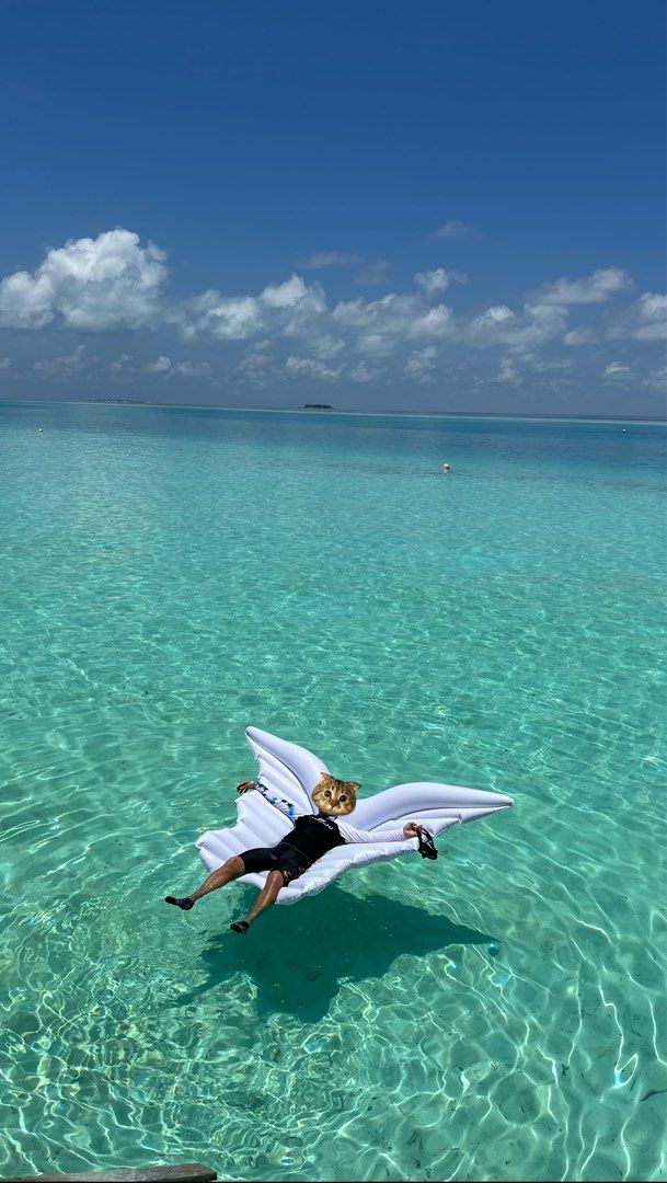 Butterfly big float, Everything Else on Carousell