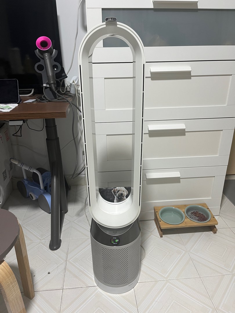 Dyson TP04, 家庭電器, 其他家庭電器- Carousell