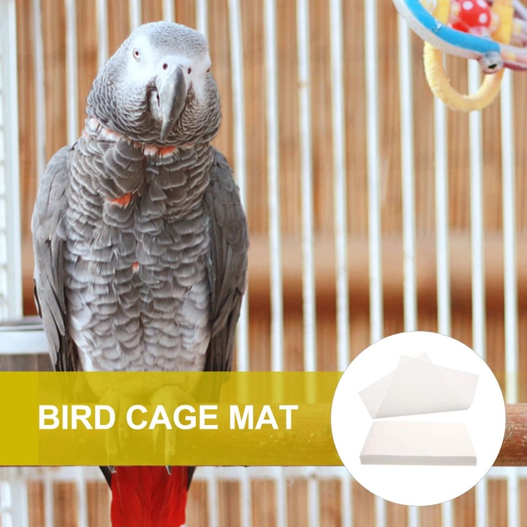 Feces Paper Bird Cage Urine Cushion Parakeet Liner One-time Birdcage  Absorbent Pad Non-woven Cloth Guinea Supplies, 寵物用品, 寵物家品及其他- Carousell