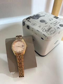 Tommy hilfiger 1781953 discount