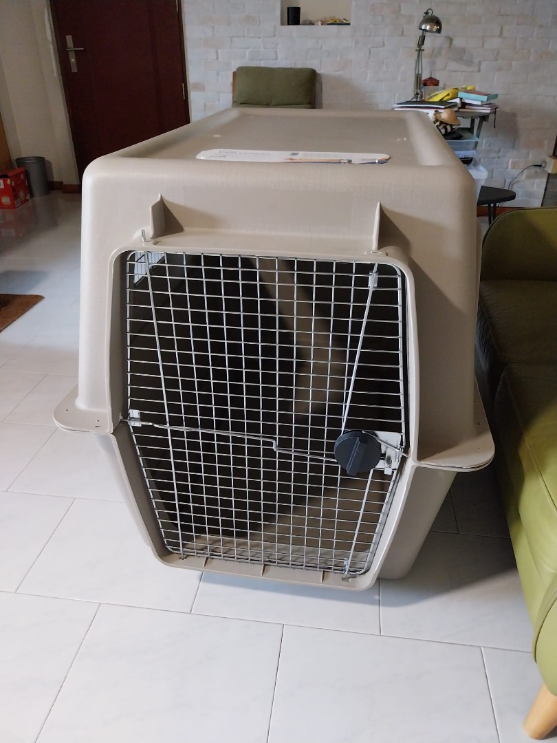Petmate giant hotsell dog crate