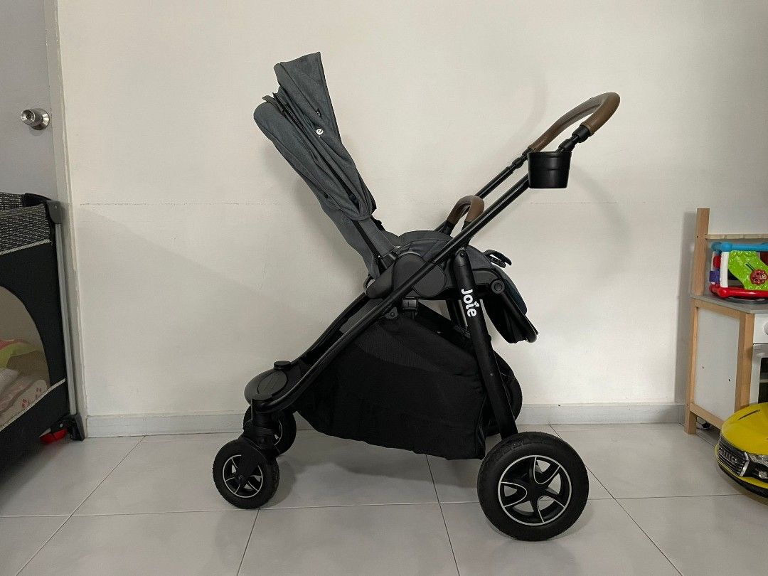 Versatrex 2025