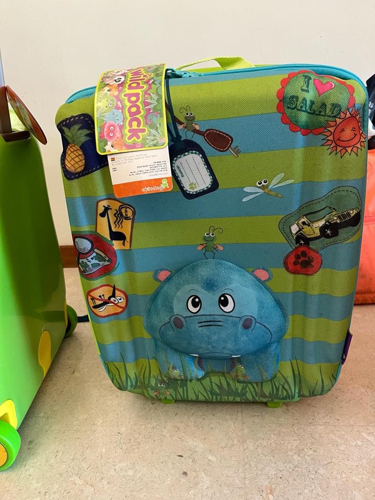Kids luggage, Hobbies & Toys, Travel, Luggage on Carousell