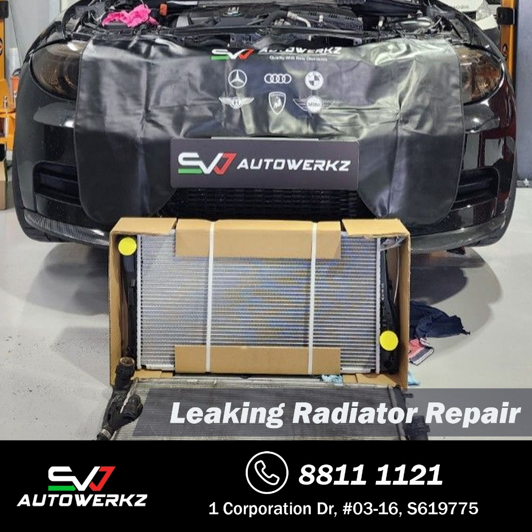 Repair & Replacement Kit