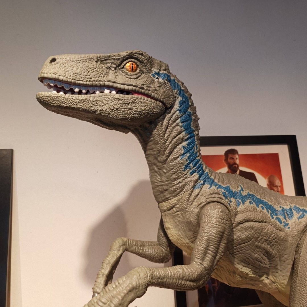 Mattel Jurassic World Colossal Velociraptor Blue, Hobbies & Toys, Toys