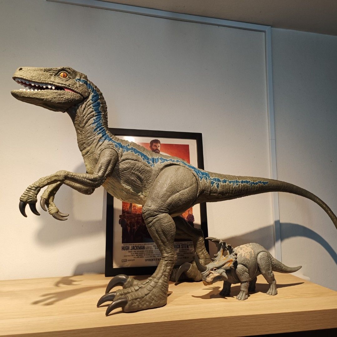 Mattel Jurassic World Colossal Velociraptor Blue, Hobbies & Toys, Toys ...