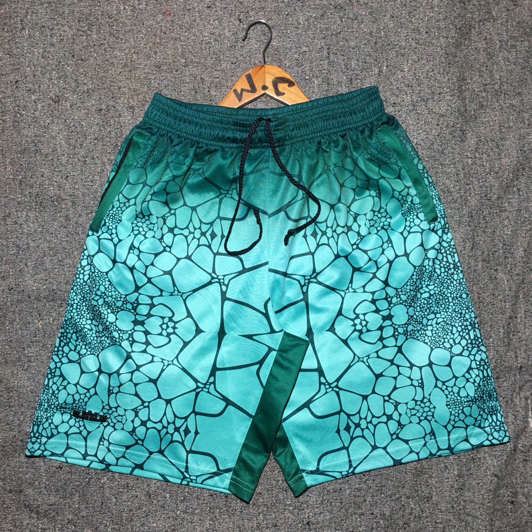 Lebron tamed shop shorts