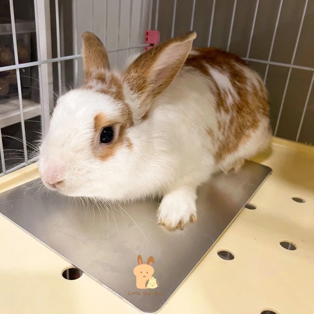 Pet instant cooling pad aluminium cool bed sleep cage mat pet