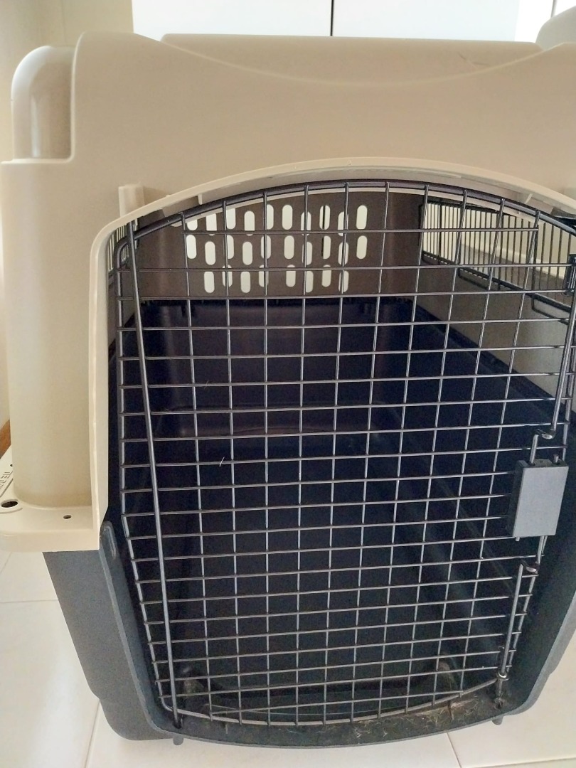 Petmate Vari Kennel, Pet Supplies, Homes & Other Pet Accessories on Carousell