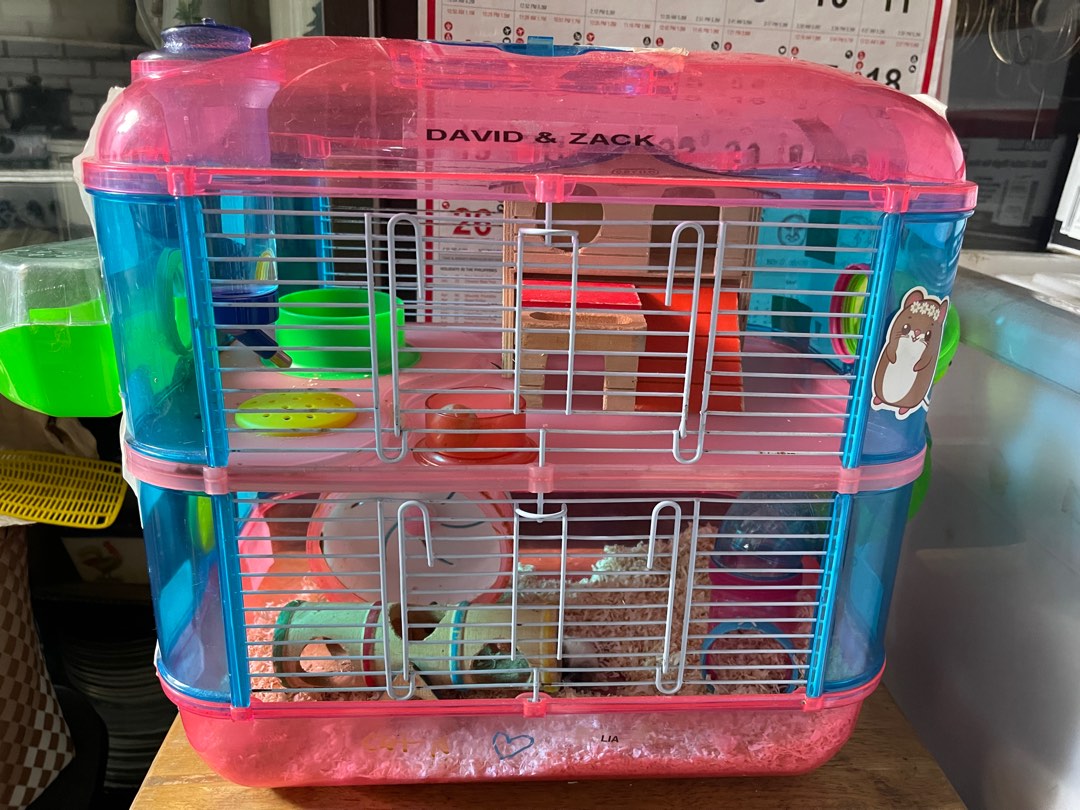 Robo hamster male with cage Pet Supplies Homes Other Pet Accessories on Carousell