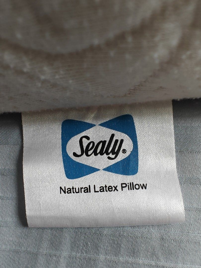 Sealy latex pillow new arrivals