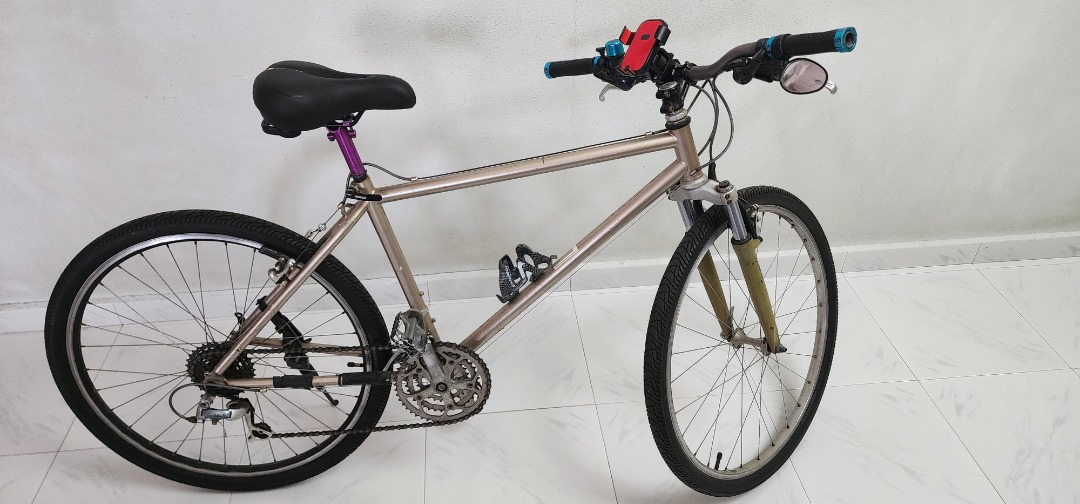Titanium mountain and city bike. Player DIY version., Sports Equipment ...