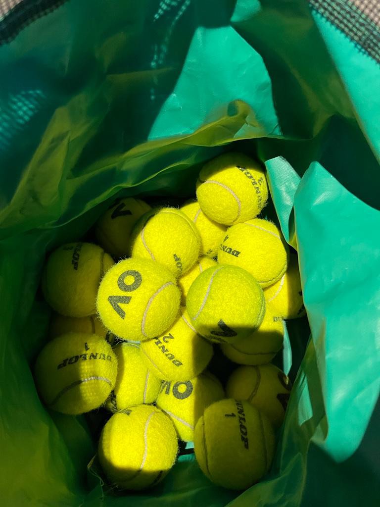 24 Used Tennis Balls (Dunlop AO), Sports Equipment, Sports & Games