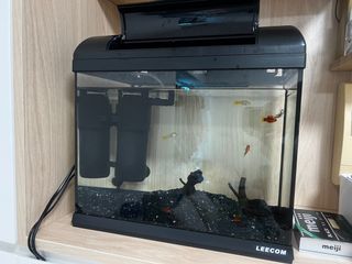 （分類：）位於 。 由 RoyHung9891 提交（商品編號 1264085807，圖片 1）。簡介： 。