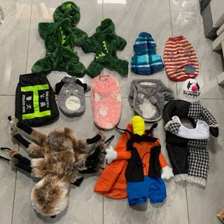 （分類：）位於 。 由 cccc73448 提交（商品編號 1264169718，圖片 1）。簡介： 。