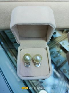 Authentic South Sea Pearl