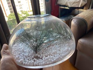 （分類：）位於 。 由 macymcl 提交（商品編號 1264091879，圖片 1）。簡介： 。