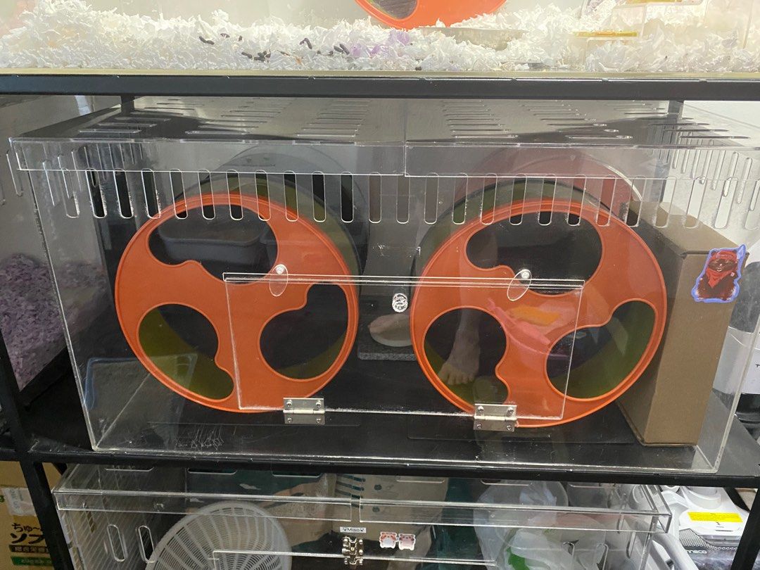 Photo inspiration: Visual Reference: Custom Acrylic Hamster Cage Pet Supplies Homes Other Pet