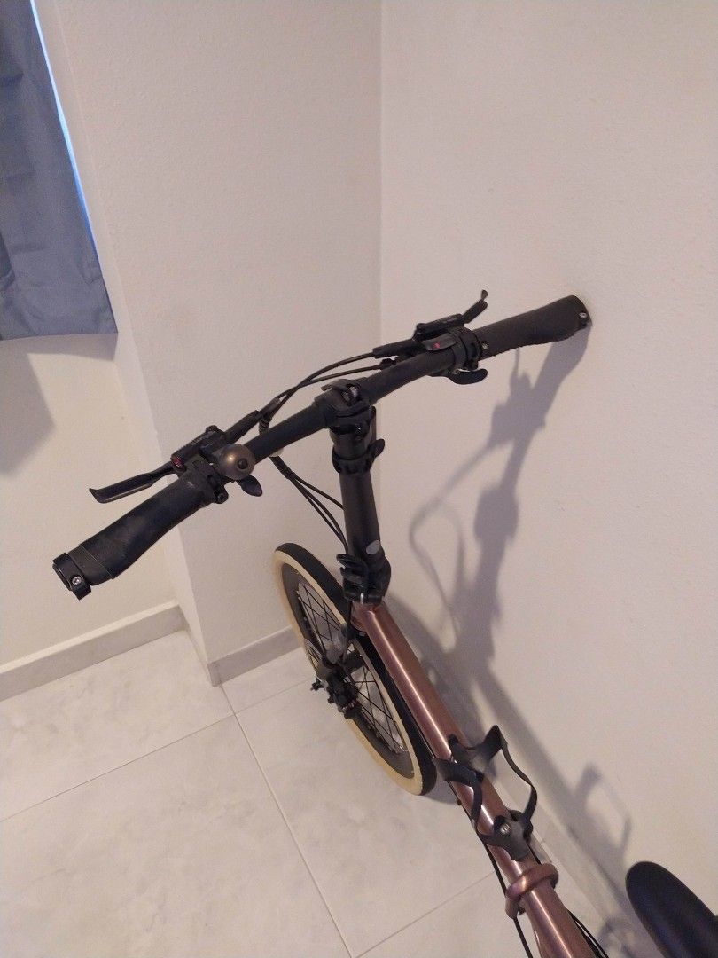 24 inch rose hotsell gold bike
