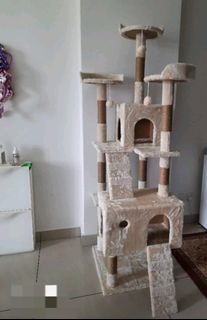 (Category: ) located in . Submitted by bella.carousel (Listing ID 1151453560, Image 1). Description: .