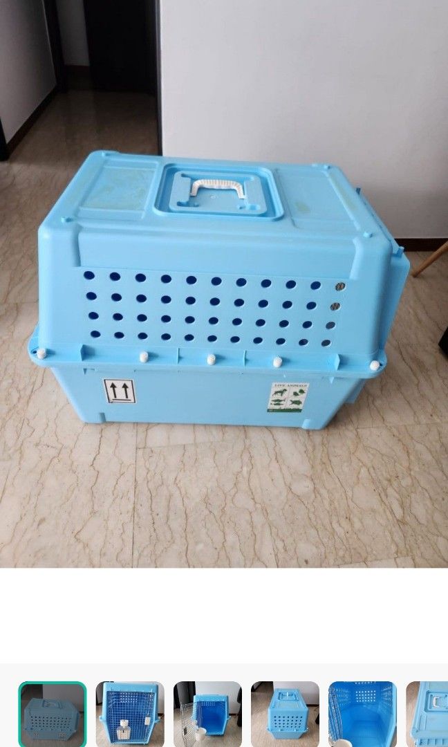 IATA approved PP50 pet carrier for Big dogs, Pet Supplies, Homes