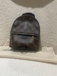10 Mini Palm Springs backpack ideas  spring backpacking, louis vuitton  palm springs mini, louis vuitton backpack