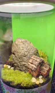 (Category: ) located in . Submitted by j.tech_crafter (Listing ID 1264201174, Image 1). Description: .