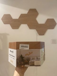 （分類：）位於 。 由 botanicaldesire 提交（商品編號 1264130899，圖片 1）。簡介： 。