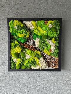 Preserved Moss Art Frame