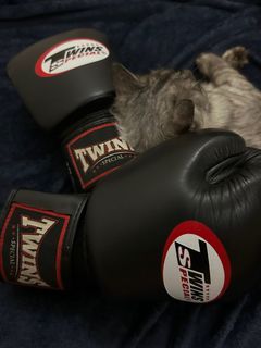 Selling Used Twins Special BGVLA2 Airflow Boxing Gloves [Black 12 OZ]