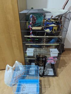 (Category: ) located in . Submitted by dean_7 (Listing ID 1264174270, Image 1). Description: .