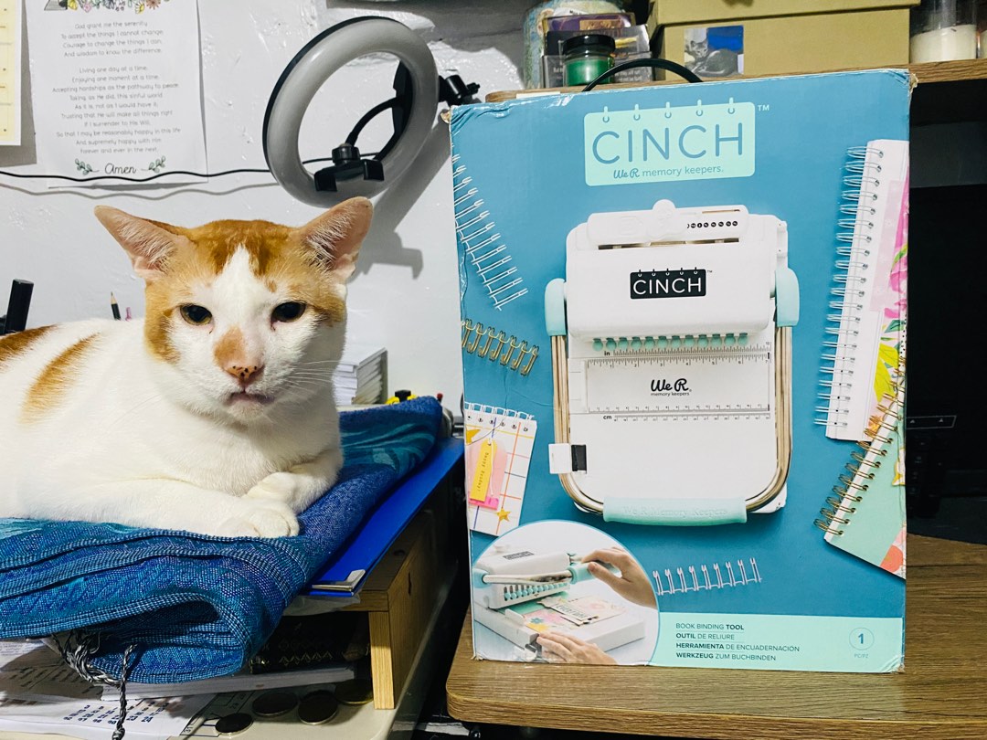 TEAL CINCH BINDING MACHINE (Circle Holes), Hobbies & Toys, Stationary