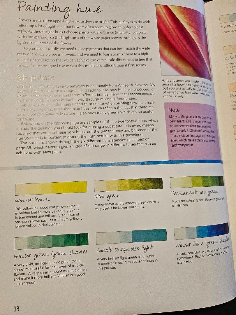 Anna Mason set book Winsor & Newton watercolor paints & enamel box