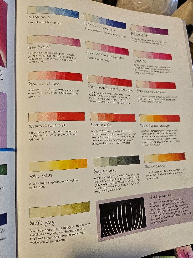 Anna Mason set book Winsor & Newton watercolor paints & enamel box