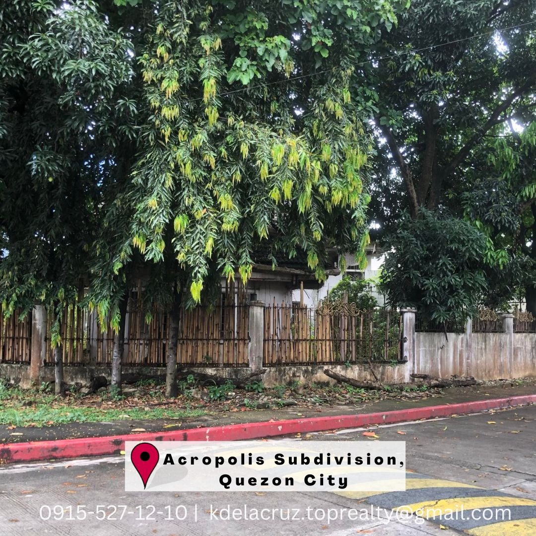 Beautiful CORNER LOT with Old House for Sale in Acropolis Subdivision