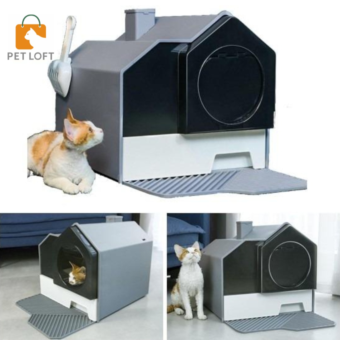 Cat Litter Box House Design Cat Litter Box Pets Litter Box Front