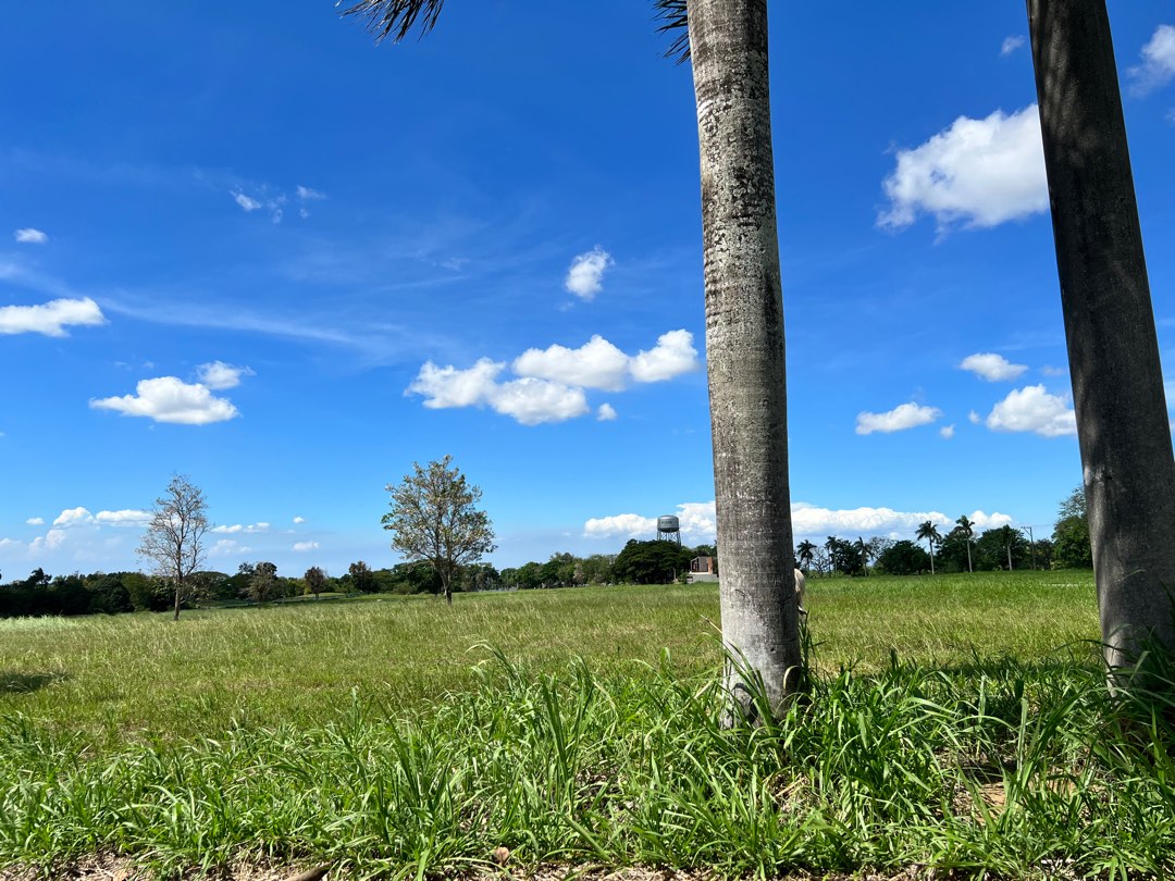 Eagle Ridge Lot for Sale, Property, For Sale, Lot on Carousell