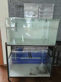(Category: ) located in . Submitted by matriana (Listing ID 1264361092, Image 1). Description: .