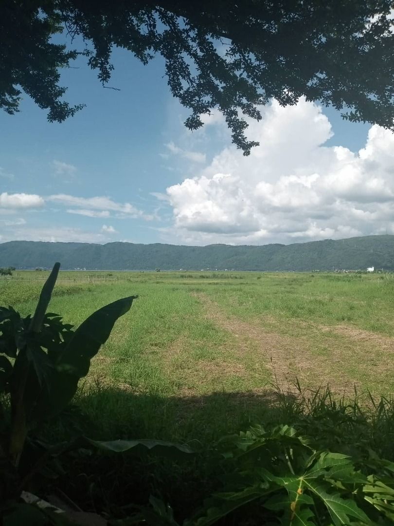 FOR SALE! 60,485sqm / 6 Hectares Farm Lot at Brgy Wawa, Lumban Laguna, Property, For Sale, Lot