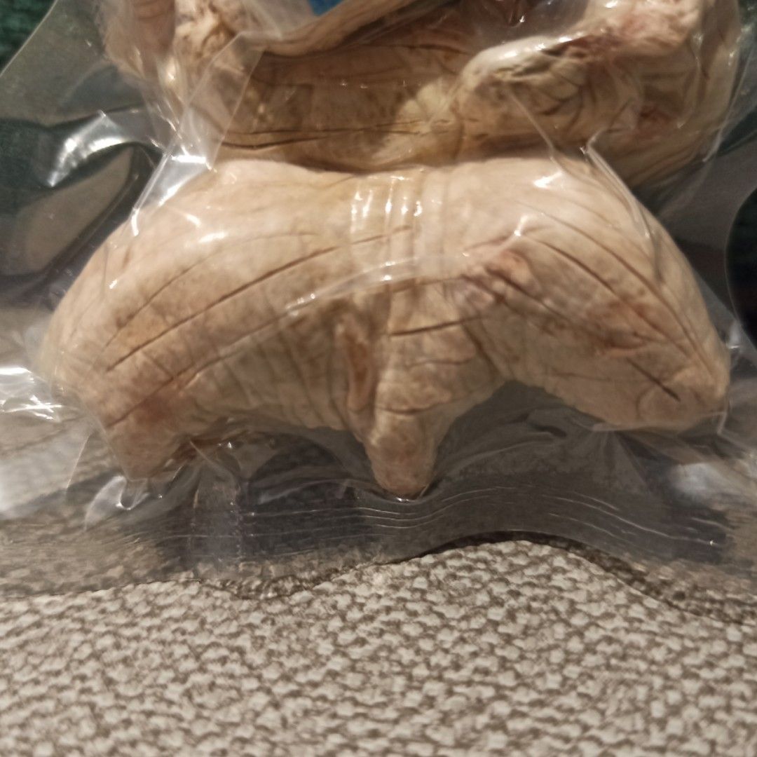 Freeze Dried White Mouse, Pet Supplies, Pet Food on Carousell