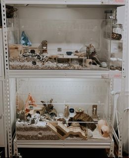(Category: ) located in . Submitted by saltpepperdiary (Listing ID 1264269912, Image 1). Description: .