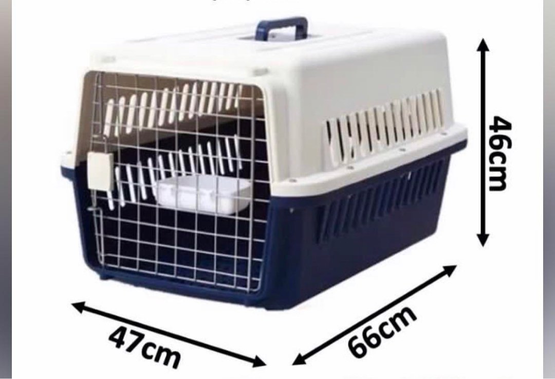 Large Pet carrier, Pet Supplies, Homes & Other Pet Accessories on Carousell