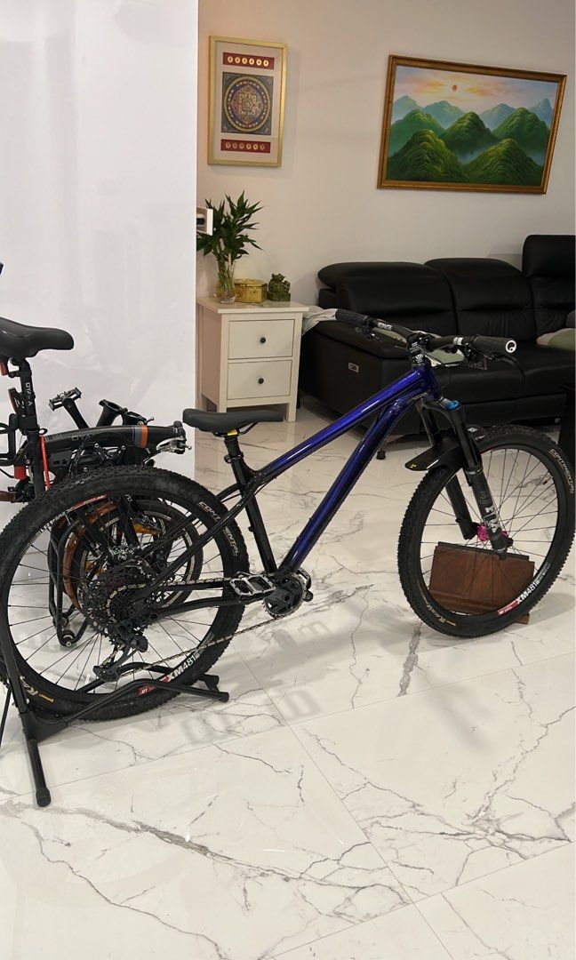Specialized pitch top little bellas