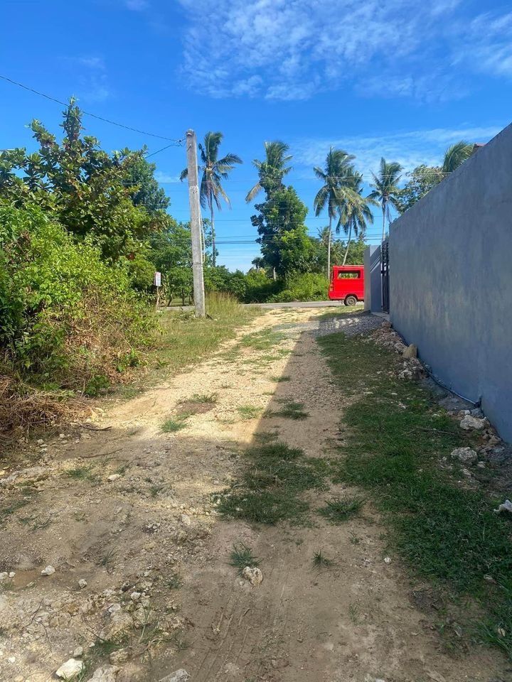 Residential Lot for Sale located at Bilisan, Panglao, Bohol, Property