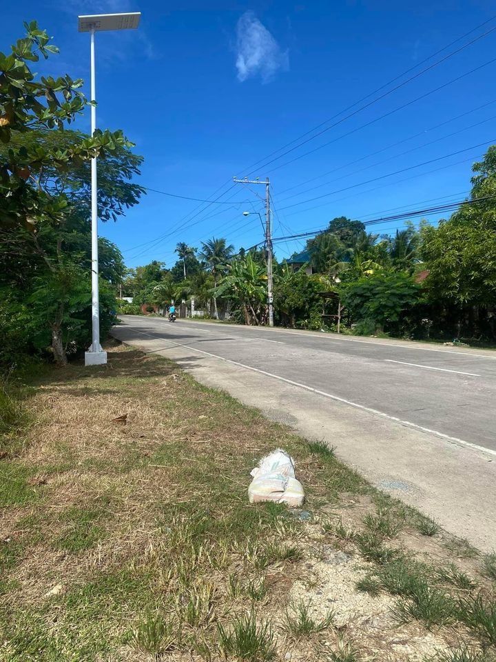 Residential Lot for Sale located at Bilisan, Panglao, Bohol, Property