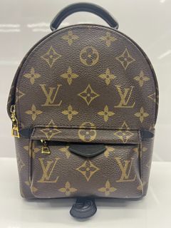 🔥BNIB🔥LV Palm Spring Mini Backpack Monogram, Luxury, Bags & Wallets on  Carousell
