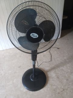 (Category: ) located in . Submitted by teilk (Listing ID 1264273977, Image 1). Description: .